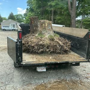 Berube Tree & Construction