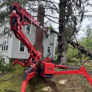 Boa Bloomfield Tree Service​