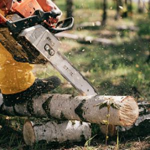 Down Rite Tree Service | Expert Tree Removal & Stump Grinding Pro's
