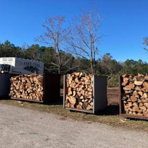 Tree Care by Robert Miller