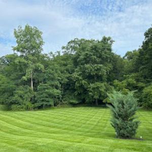 V Serrano's Landscaping