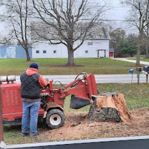 ROOTHOG Stump Removal