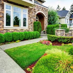 All Seasons Austin Landscaping