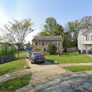 Stan Smith Tree Service