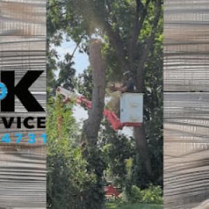 K N K Tree Service
