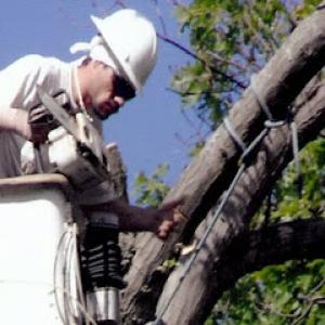 J&M Tree Service