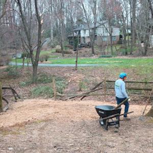 Tito Lawn & Landscaping