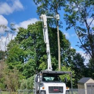 Sky's The Limit Tree Service