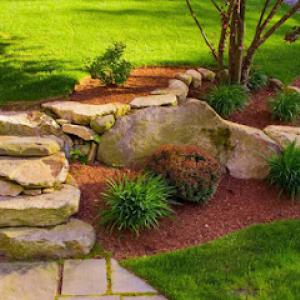 Willow Glen Gardening