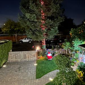 Mountain View Tree Service