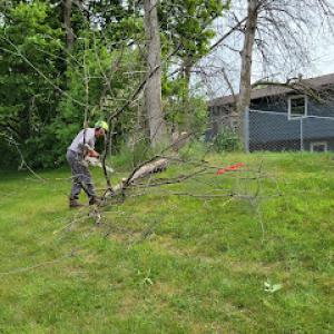 Richard Stewart Tree Service
