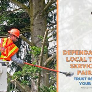Genesis Tree Service