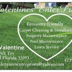 Valentines Enterprizes
