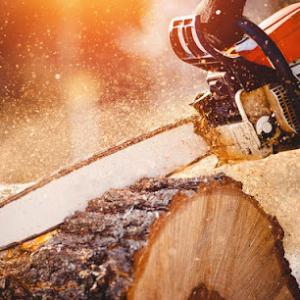 Scott's Tree Service