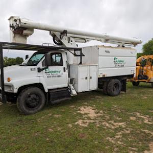 Economy Tree Service