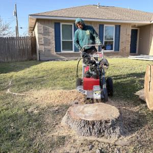 Ramirez Tree Service 512