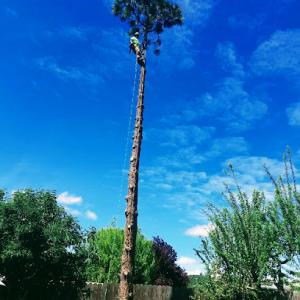Arborsmith Tree Professionals