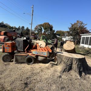 Kendall's Tree Service