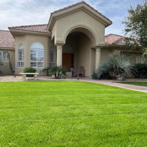 Ever Green Landscaping Services