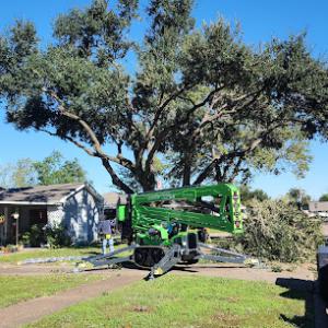 Deer Park Arbor Specialist