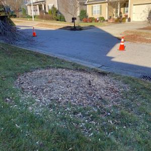 Mike's Stump Grinding & Tree Service