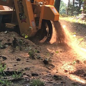 Dave's Stump Grinding