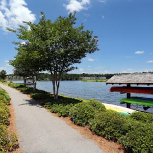 Yellowstone Landscape