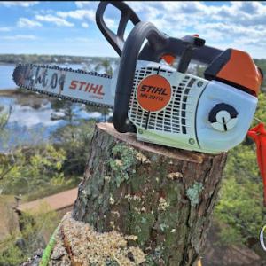 F.O.X Perfect Tree Service
