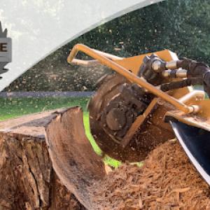 Burnette Stump Grinding
