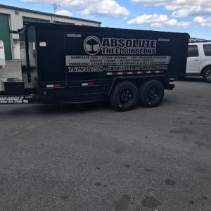 Absolute Tree Surgeons