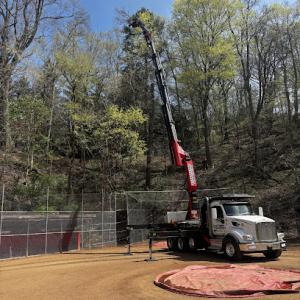 Tall Timber Tree Experts