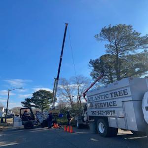 A Atlantic Tree Service