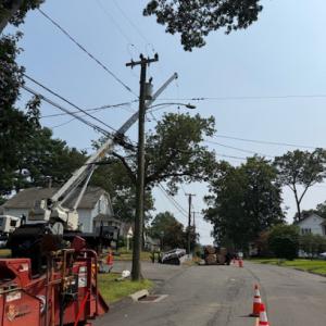 Advanced Tree Solutions of Connecticut