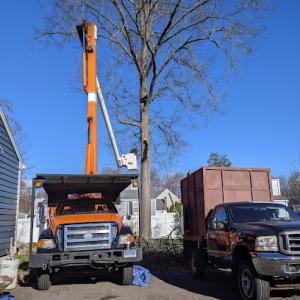 Connecticut Land & Tree Services