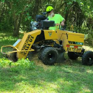 Mann's Stump Grinding