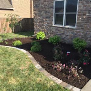 Michael's Lawn Care & Landscaping