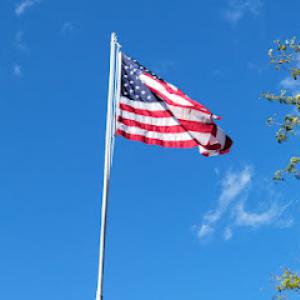 Clark's Tree Trimming & Services