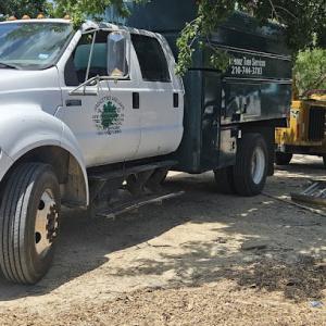 Jimenez Tree & Lawn Service