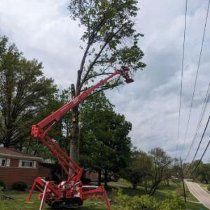 Paul's Tree Removal