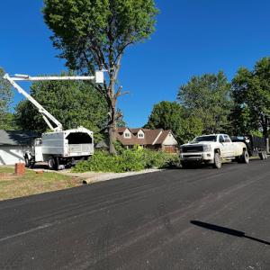 NexGen Tree Services