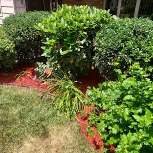 Desperate Landscapes & Lawn Care