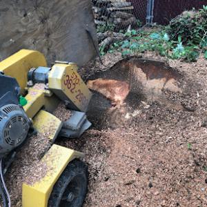 Weidlich Stump Removal