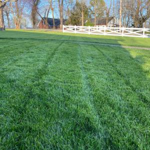 Turf Masters Lawn Care of Norcross