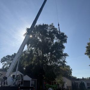 Seasonal Property Maintenance