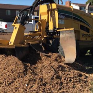 Little C Tree Service