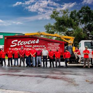 Stevens Tree Service