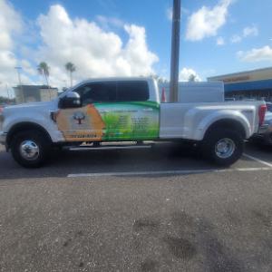 All in One Tree & Lawn Service