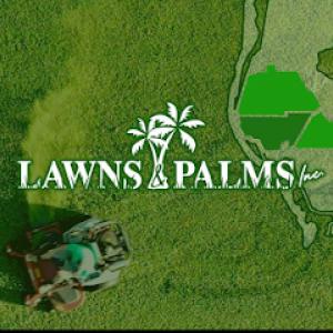 Lawns & Palms