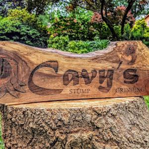 Cavy's Stump Grinding