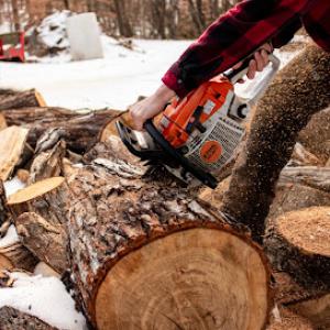 Black Bear Tree Company